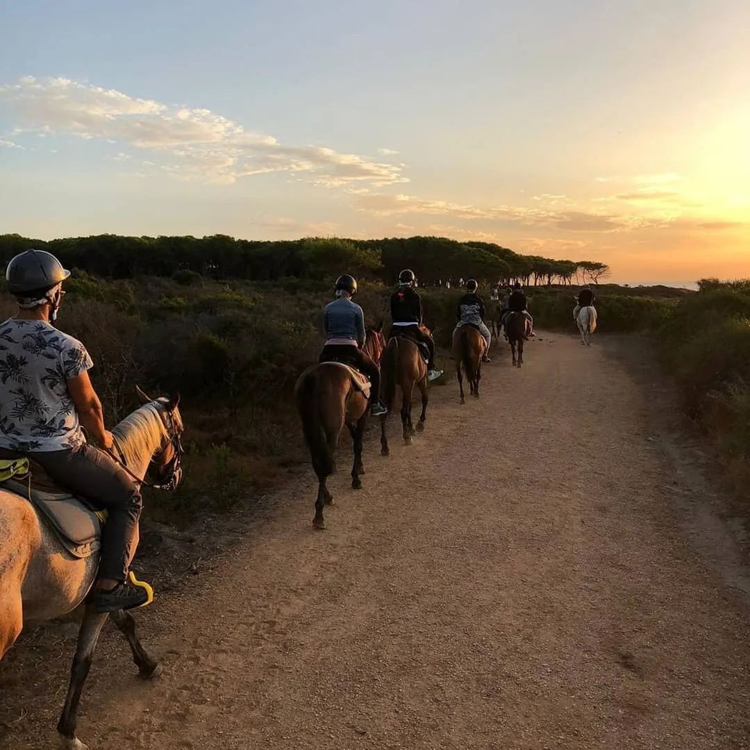 Escursione a cavallo al tramonto, dal catalogo 181travel