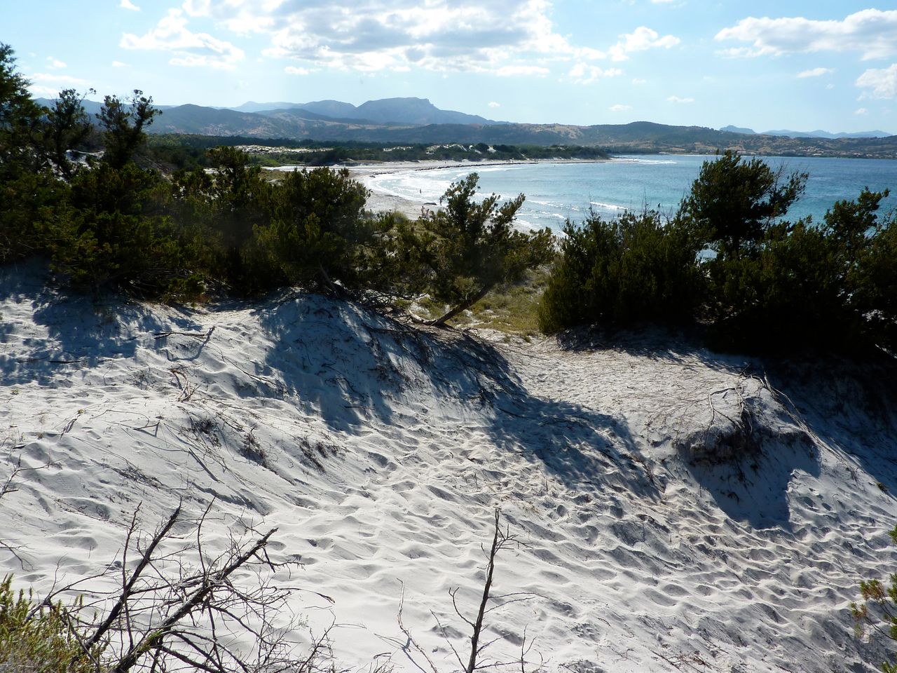 Dune costiere e spiaggia a Capo Comino