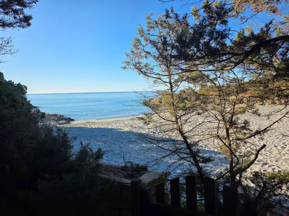 Il cancello sul mare tra i pini davanti a Villa Mossini